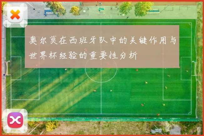 奥尔莫在西班牙队中的关键作用与世界杯经验的重要性分析
